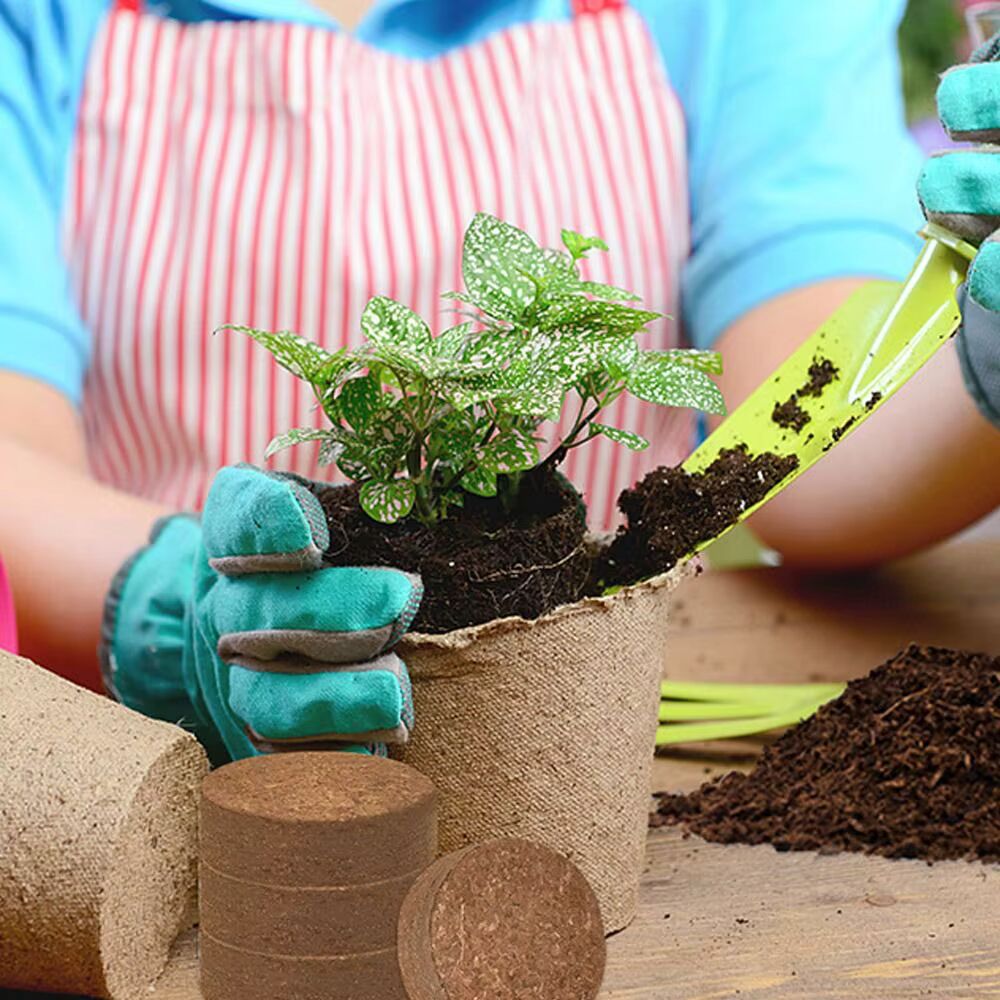 Coco Peat Coins