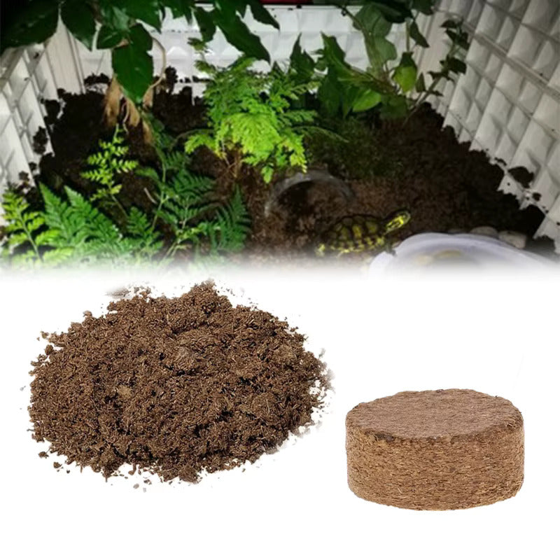 Coco Peat Coins