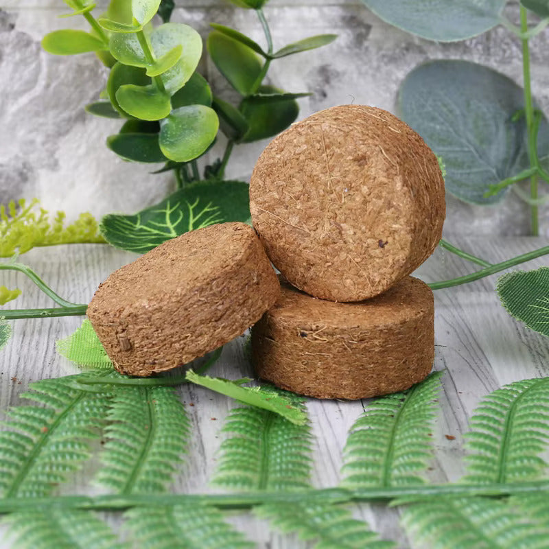 Coco Peat Coins